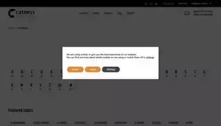 Cat Ness Games What are Sandbox game? - Catness Game Studios