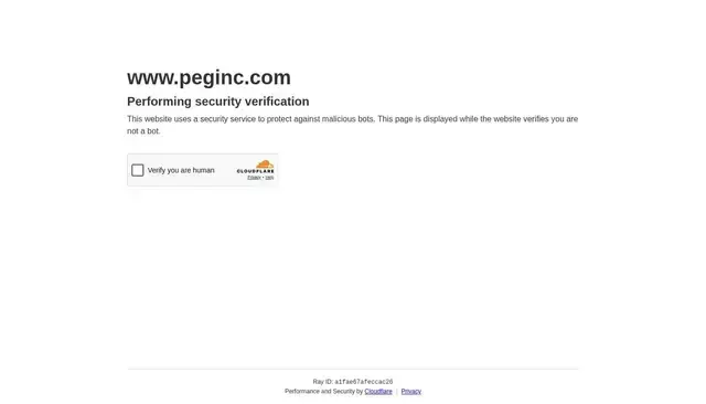 peginc.com homepage screenshot
